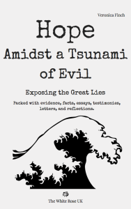 Hope Amidst a Tsunami of Evil - Exposing the Great Lies