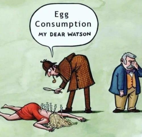 Egg-Theory